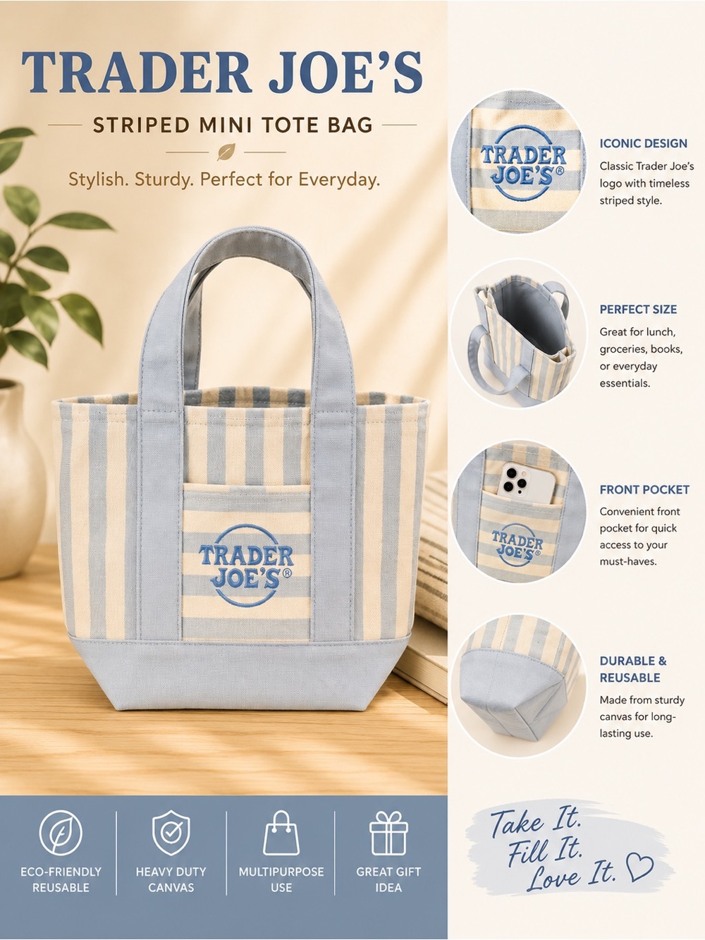 Trader Joe's Striped Mini Tote Bag in Blue and Cream